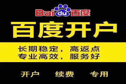 百度推广中的创意策略：成功案例解析与启示